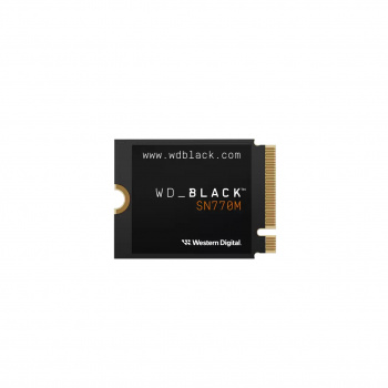 SSD WESTERN DIGITAL WDS100T3X0G